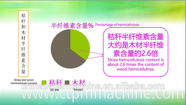 Straw Pulp Making Machinery